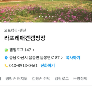 라포레애견캠핑장 금주 금토일(4.19~21) 양도합니다