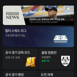 fc온라인 순비피10조 장패드