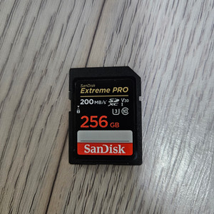 샌디스크 256GB 캠코더 메모리카드 팝니다