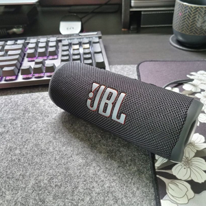 JBL flip6