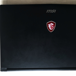 MSI GL62M 7RDX 노트북