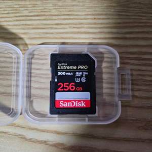 샌디스크 SD카드 UHS-2 V90 256GB