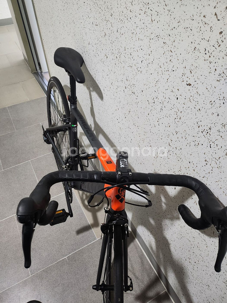 2022년식 사바 캠프 라돈 로드자전거--5