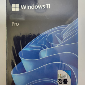 윈도우11 PRO