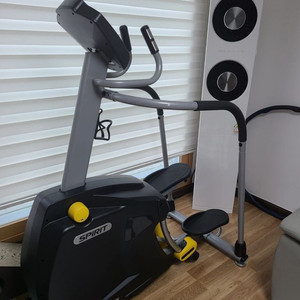 스피릿 스탭퍼/스테퍼 팝니다(xs95)