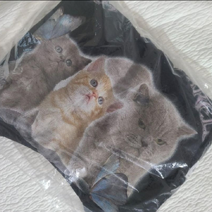 스컬프터 고양이 반팔티 kitten box tee