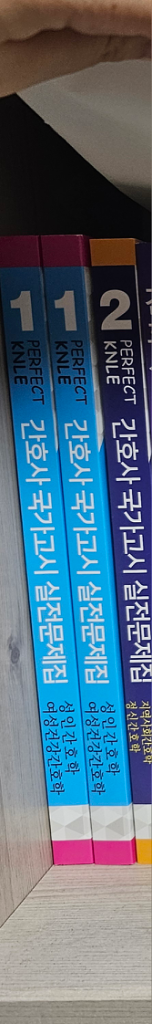 간호사 국가고시 실전 문제집(파남보)(2024대비)