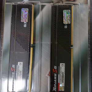 지스킬 DDR5-5600 32G cl30 RIPJAWS
