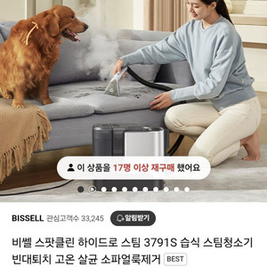 새상품 무료배송 24년 비쎌 고온살균 스팀청소기