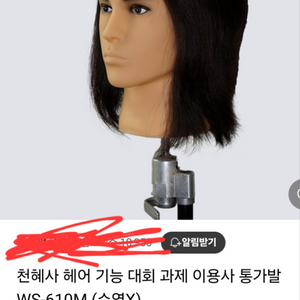 천혜사 남자 통가발