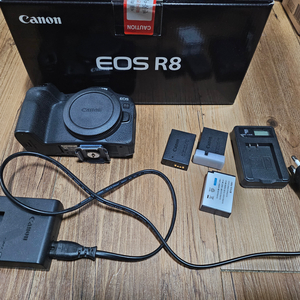 캐논 EOS R8 미러리스 카메라