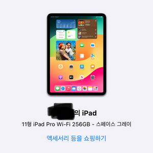 아이패드 프로 4세대 11형 wifi모델 256GB