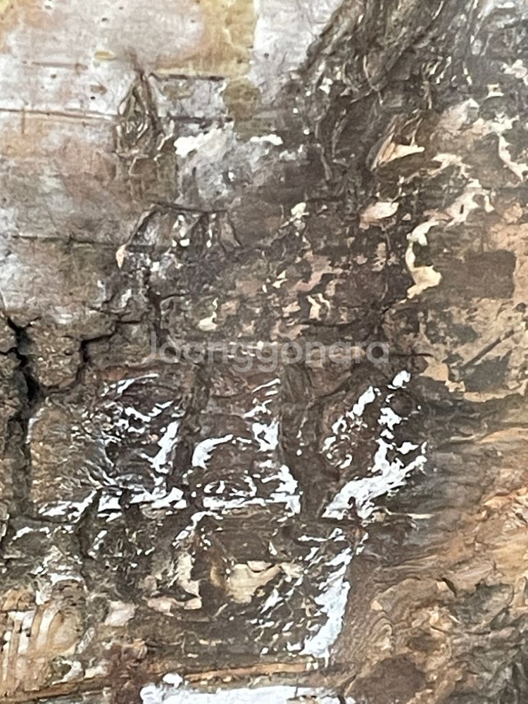 나무껍질위 그림--2