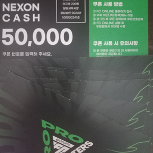 넥슨캐시 50,000원