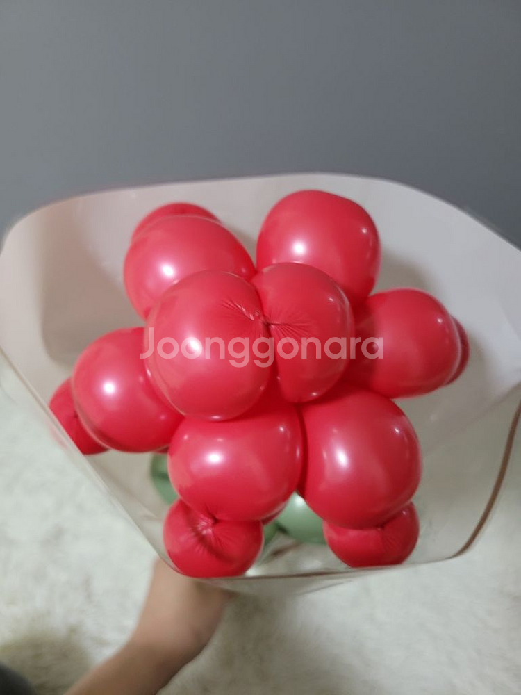 카네이션 풍선꽃!!--2