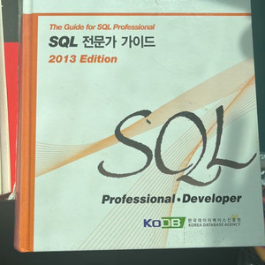SQL전문가 가이드