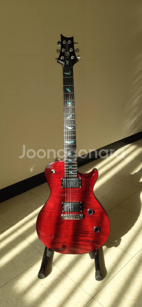 PRS SE Nick Catanese 기타--0