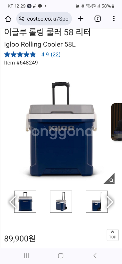 이글루 아이스박스 쿨러 58리터--5