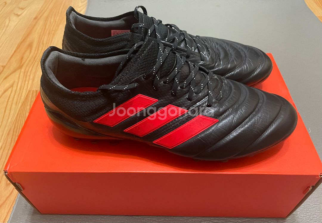 아디다스 코파 19.1 AG 255--1