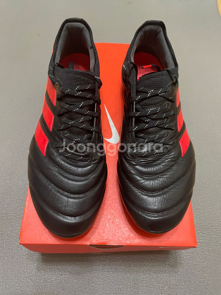 아디다스 코파 19.1 AG 255--0