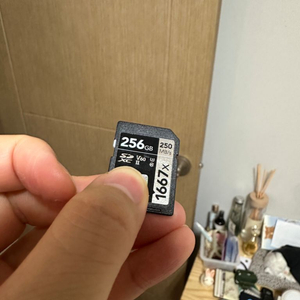 렉사 256GB SDXC V60 UHS-2