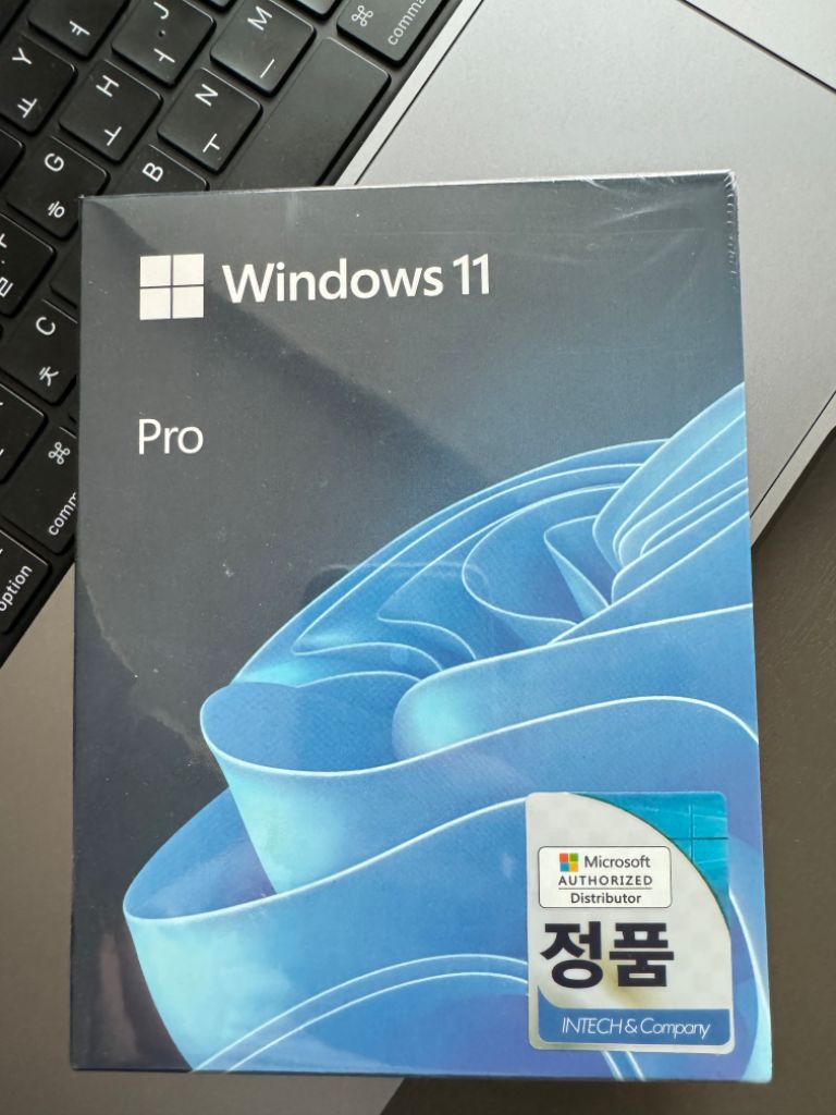 윈도우11 프로 정품 팝니다 fpp
