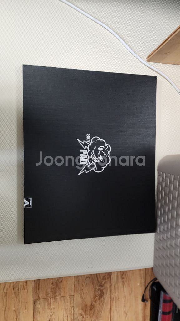 스카이패드 샤이니 소라 팝니다.--1