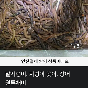 말지렁이 지렁이꽂이 원투채비