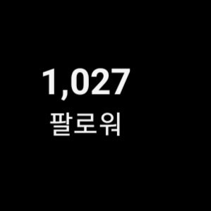 인스타 팔로워 1000(쿨거시 5만원까지도 생각 중)