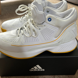 아디다스 D ROSE 10 Simeon