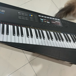 Komplete Kontrol S61 MK2 새 거