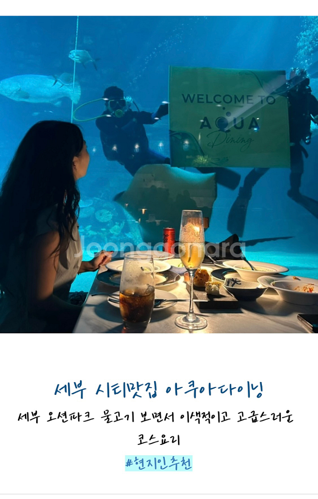 세부 오션파크 아쿠아다이닝 코스요리 식사권 / 8코스--2