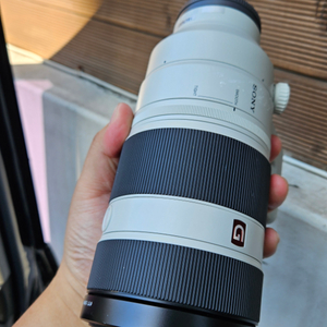 FE100-400mm F4.5-5.6 GM OSS