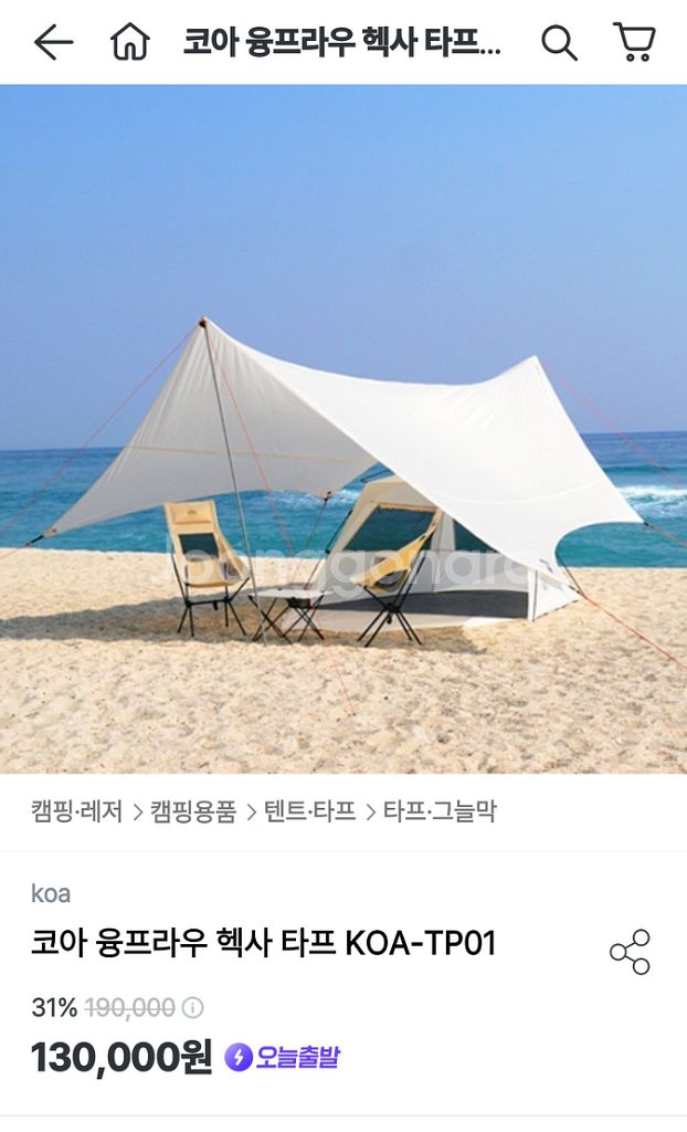 KOA 융프라우 헥사타프--1
