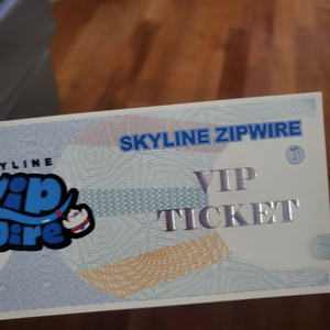 스카이라인 짚와이어 한장에 2인 이용권 vip 티켓