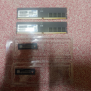 패트리어트 DDR5 5600 32GB*2 합64GB