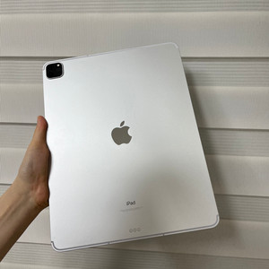 iPad Pro 5세대 12.9인치 512GB 셀룰라