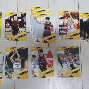 KBL 농구 오피셜 컬렉션 카드 LG 일괄판매