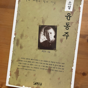 소설 윤동주 - 최인수