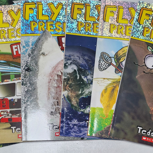 Fly Guy (presents) 원서6권