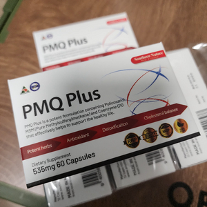 PMQ Plus