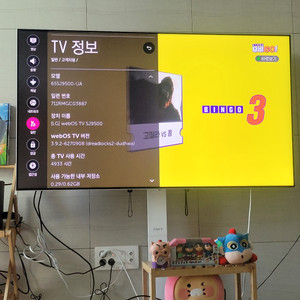 LG 나노셀 65인치 TV (65SJ9500)