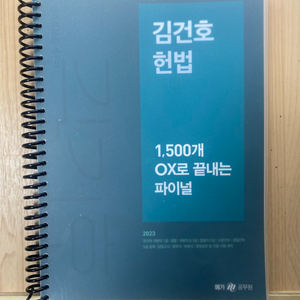 김건호 헌법 파이널 2023