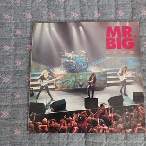 Mr.Big Live LP