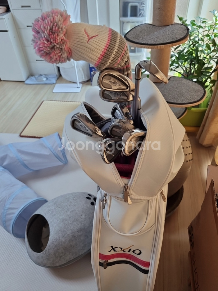 캘러웨이 아이언 세트와 요넥스 드라이버--1