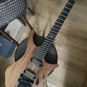 strandberg nx6 prog plini 플리니