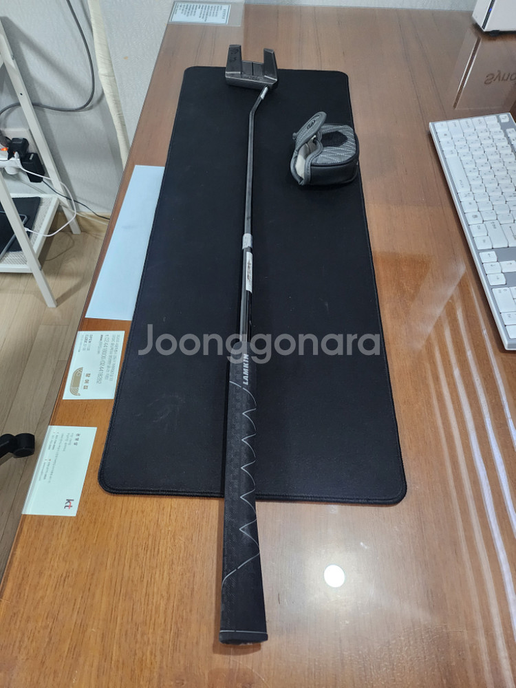 클리브랜드 프리미어 헌팅턴 비치 퍼터 11 판매--1