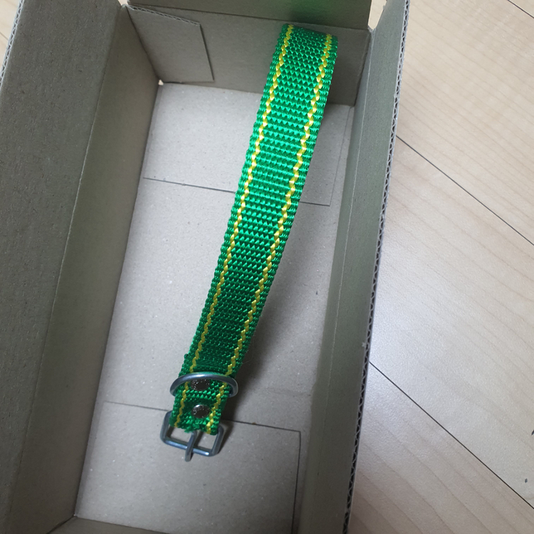 강아지 목줄 새상품--3