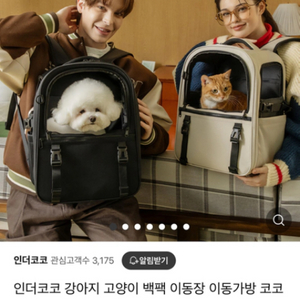 새제품)강아지 고양이 백팩