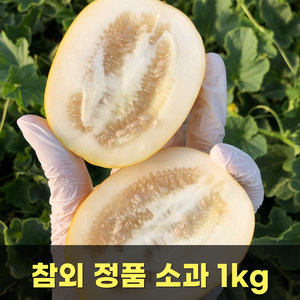 [품질보장] 참외 정품 소과 1kg / 무료배송